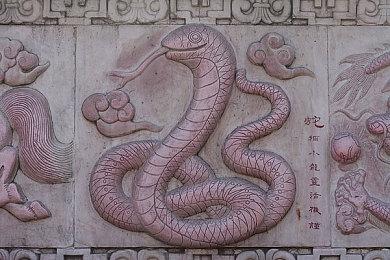 《卡牌生存：奇幻森林》发售日公布 2月28日发售