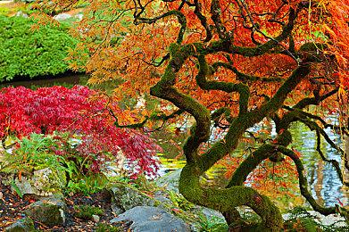 《海参2》 SPAS-12霰弹枪演示 6月21日推出